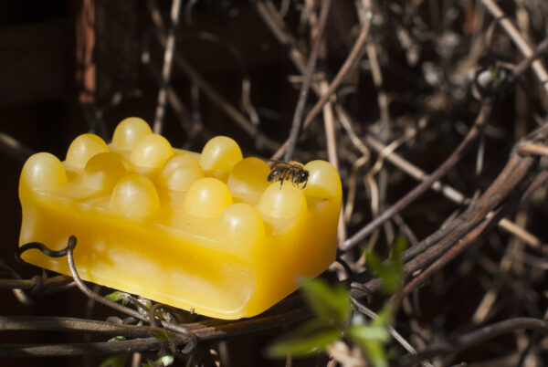 Handmade Golden Sunshine Soap - Image 3