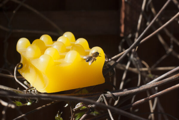 Handmade Golden Sunshine Soap - Image 4